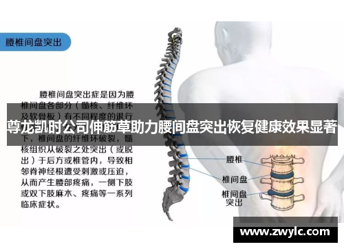 尊龙凯时公司伸筋草助力腰间盘突出恢复健康效果显著